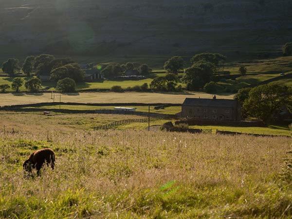 Dale House Farm Cottage Weathercote Buitenkant foto