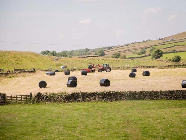 Dale House Farm Cottage Weathercote Buitenkant foto